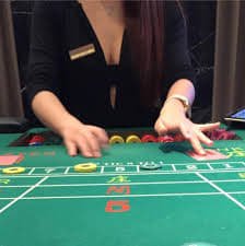 zbet88